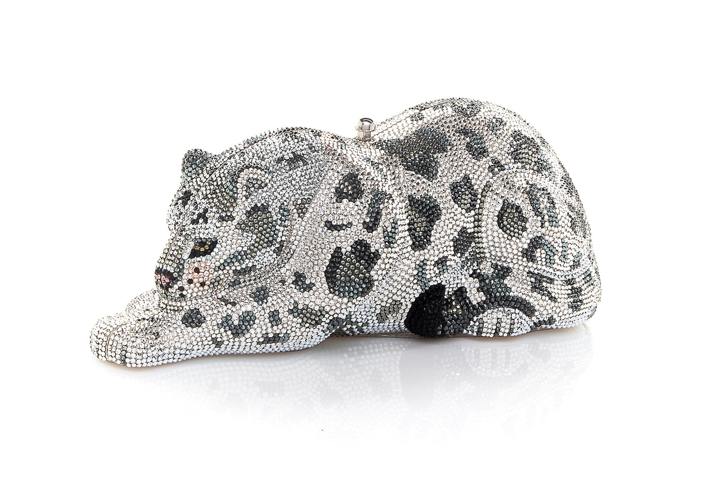 Wildcat Snow Leopard